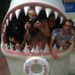 Profile Picture of Kyle O'Connor (@kiddkyle507) on Pinterest