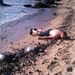 Profile Picture of Jason Grogan (@grogan2532) on Pinterest