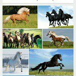 Profile Picture of cassandra+leonie (@wettis_love_you) on Instagram