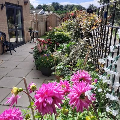 Profile Picture of Barry Collins (@Barry3822) on Twitter