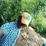 Profile Picture of Carl Darius (@carl_darius_) on Instagram