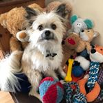 Profile Picture of TEDDYofinstagram (@chloe.stumpf97) on Instagram