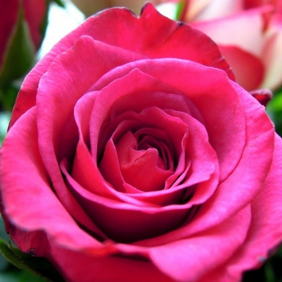 Profile Picture of Cassandra Jn baptiste (@spjnbaptiste) on Poshmark