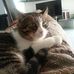 Profile Picture of Carlo Casazza (@carlo.casazza.16) on Facebook