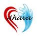 Profile Picture of Reuben David (@ahavaprojectsevents) on Pinterest
