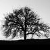 Profile Picture of Meral Ekdal Akdikmen (@meral.akdikmen) on Facebook
