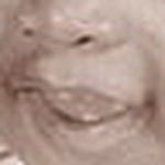 Profile Picture of Kevin  Gibson (@KGee's Photographic Arts) on Flickr