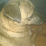 Profile Picture of Jamie Marie Schingen (@klein_jamie_marie) on Instagram