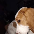 Profile Picture of Laina Foster (@Laina-Foster) on Facebook