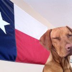 Profile Picture of Sam Cunningham (@officialsamc) on Instagram