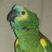 Profile Picture of Candelaria Coronel (@candelaria.coronel.581) on Facebook