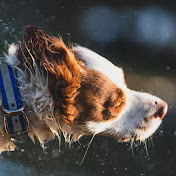 Profile Picture of Alex Krebs (@GotDuhka) on Youtube