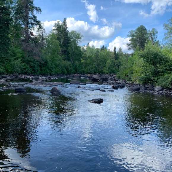 Profile Picture of Tyler Hamm (@tylerhamm516) on Poshmark