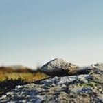 Profile Picture of Kyle kirkman (@artpopsatan33) on Instagram