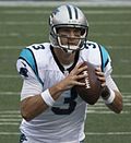 Profile Picture of Derek Anderson (American football)on Wikipedia