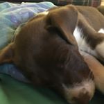 Jeffery Stirling - Instagram Profile Picture of Jeffery Stirling (@jeff110110) on Instagram