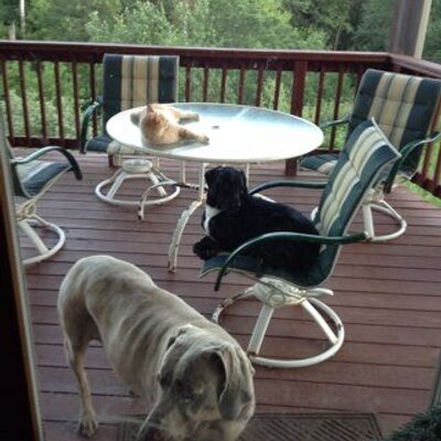 Profile Picture of Gary Yager (@Yogiyagr) on Twitter