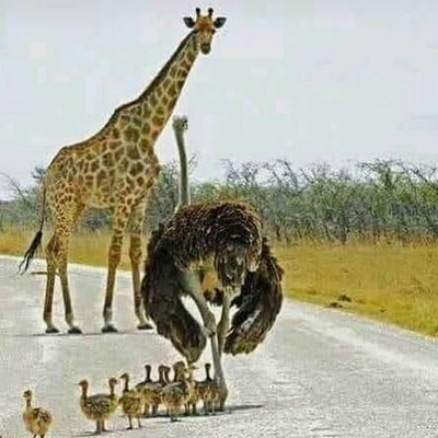 Profile Picture of Paul Raynes (@PaulRaynes3) on Twitter