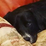 Profile Picture of Peter Fitch (@photosby_peter) on Instagram