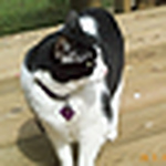 Profile Picture of Marie Heggem (@marie_heggem) on Flickr