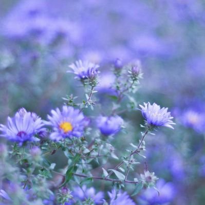 Profile Picture of Woonlam Jana (@woonlam) on Twitter