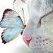 Profile Picture of Be Change (@Moonport13) on Pinterest