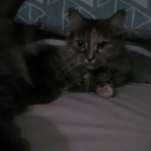 Profile Picture of Kate Riggs (@KateRig64960062) on Twitter