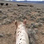 Profile Picture of Kendra Hartnett (@kendra.hartnett.5) on Facebook