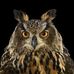 Profile Picture of Michael Hersh (@michael.hersh.353) on Facebook