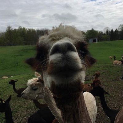 Profile Picture of Brandon Mohr (@BrandonMohr7) on Twitter