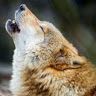 Profile Picture of Maya Weiss (@mayaweiss6409) on Pinterest