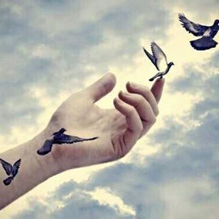 Profile Picture of Kochupatar Jol (@kochupatar.jol.73) on Facebook