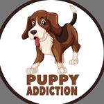 Profile Picture of puppy and dog world (@puppy.addiction) on Instagram