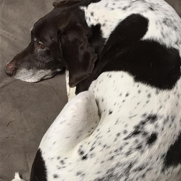 Profile Picture of Christina Haren-kostick (@christinak1980) on Poshmark