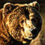 Profile Picture of Big Bad Bear (@Big Bad Bear) on Flickr