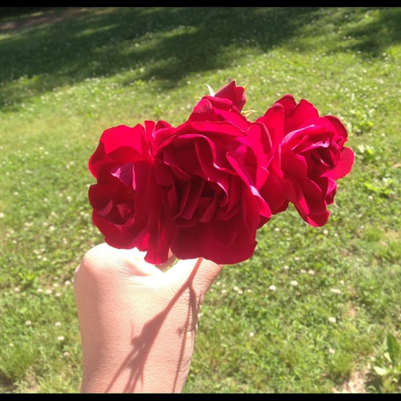 Profile Picture of Kim Alvarez (@kxm) on Poshmark