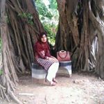 Profile Picture of Samina Hameed (@samina9255) on Instagram