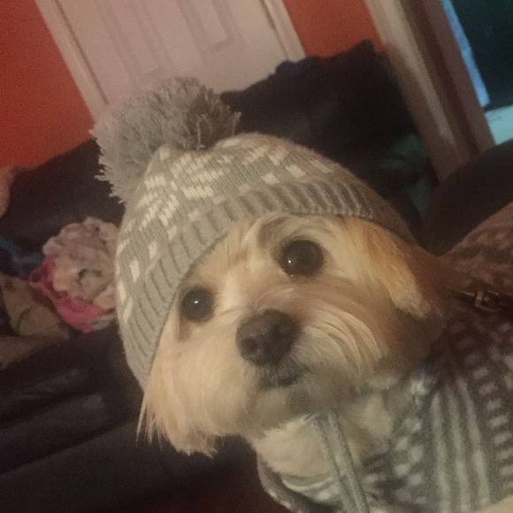 Profile Picture of Alex Vega (@alexvegas101) on Poshmark