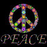 Profile Picture of haley stokes (@haleystokes123) on Instagram