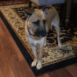 Profile Picture of Dorothy Vowell (@dorothy.vowell.16) on Facebook