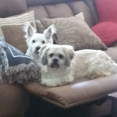 Profile Picture of Lea Saylor (@HartmanLea) on Twitter