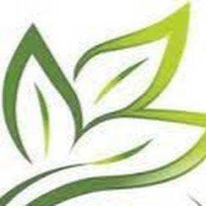 Profile Picture of Jeff.Wilchman (@jeff.wilchman) on Tiktok