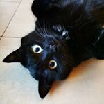 Profile Picture of Kamaji (@princesse.kamaji) on Instagram