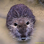 Profile Picture of Michael Floyd (@mikefloydfrance) on Flickr