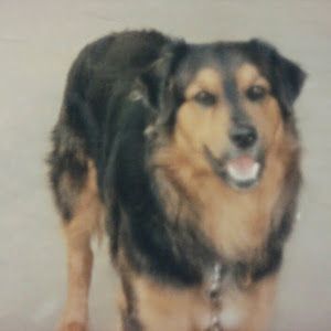 Profile Picture of Andrew Asa (@andrewasa7) on Tiktok