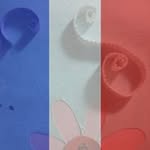 Profile Picture of Lee Paul (@leepaul_) on Instagram