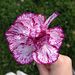 Profile Picture of SAVANNAH ROACH (@saro2022) on Pinterest