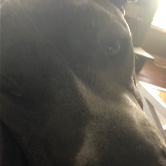 Profile Picture of Brent Gritton (@gritton716) on Poshmark