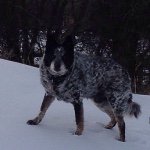 Profile Picture of Daryl Cramer (@streisandrocks) on Instagram