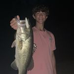 Profile Picture of Colin Kennedy (@colinkennedy9260) on Instagram